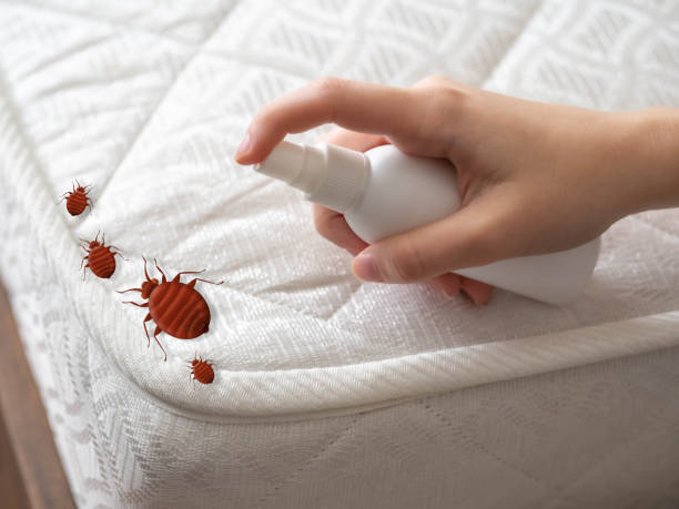 Best Residential Pest Control  in Cape St Claire, MD